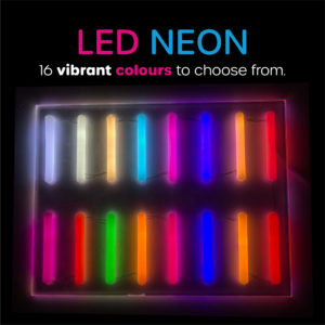 Retro neon sign shop | Buy traditional neon lights | Bespoke animal ...
