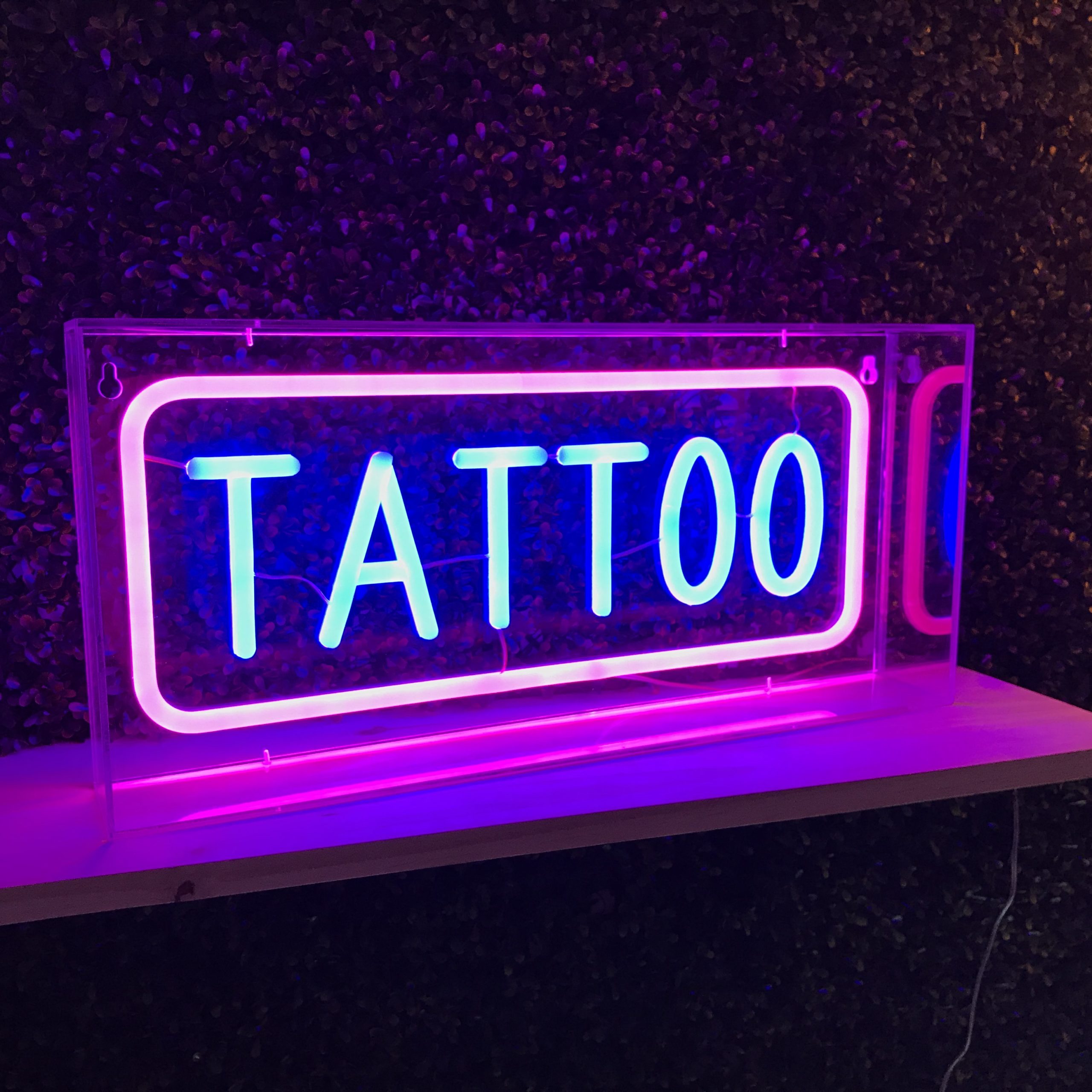 Neon slogan sign for sale  Bespoke neon lights from Neon Works  TATTOO   acrylic box  Neon Works